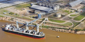 中糧集團(tuán)有限公司